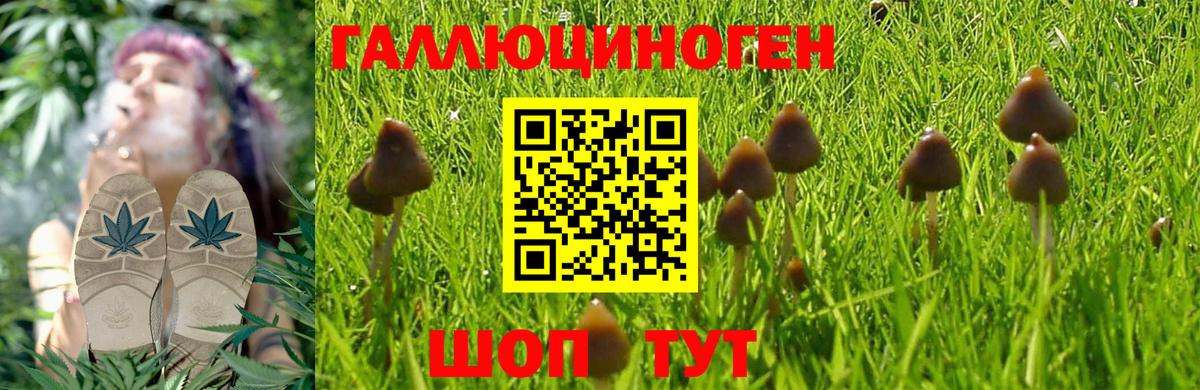 Псилоцибиновые грибы мухоморы  Вход с VPN  Обнинск 