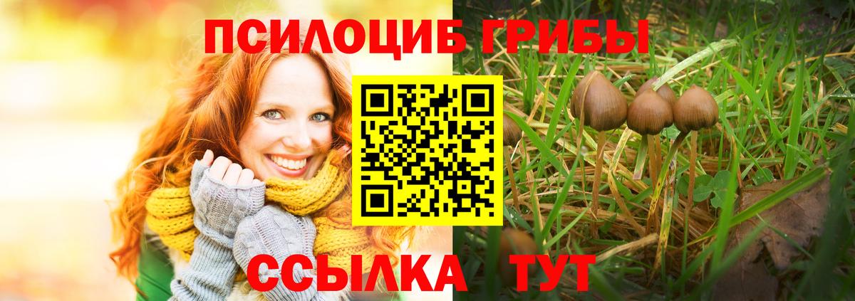 Псилоцибиновые грибы Magic Shrooms Обнинск